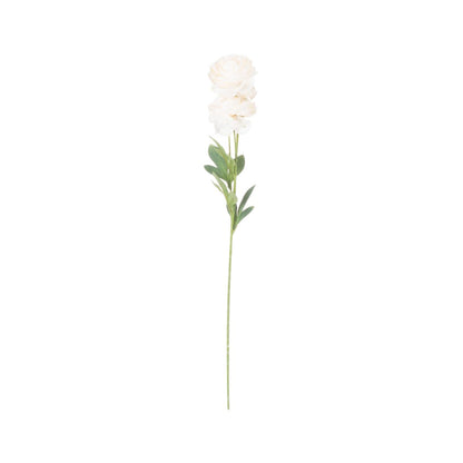 Artificial Cream Ranunculus Stem – Click Style
