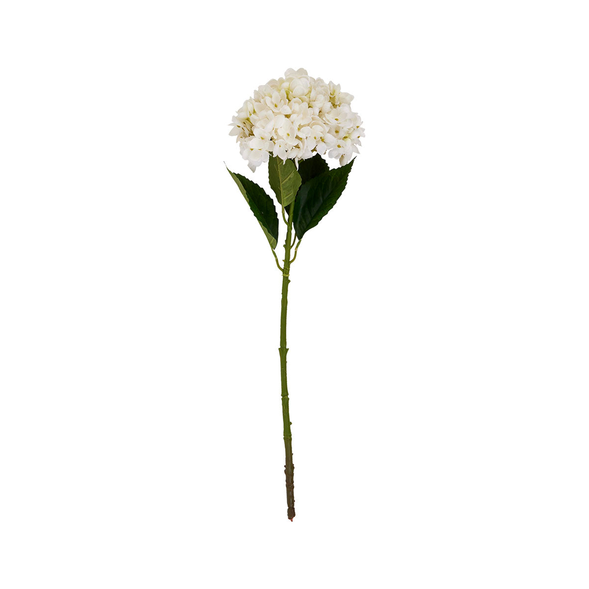 Artificial Creamy White Hydrangea Stem – Click Style