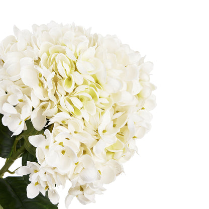 Artificial Creamy White Hydrangea Stem – Click Style