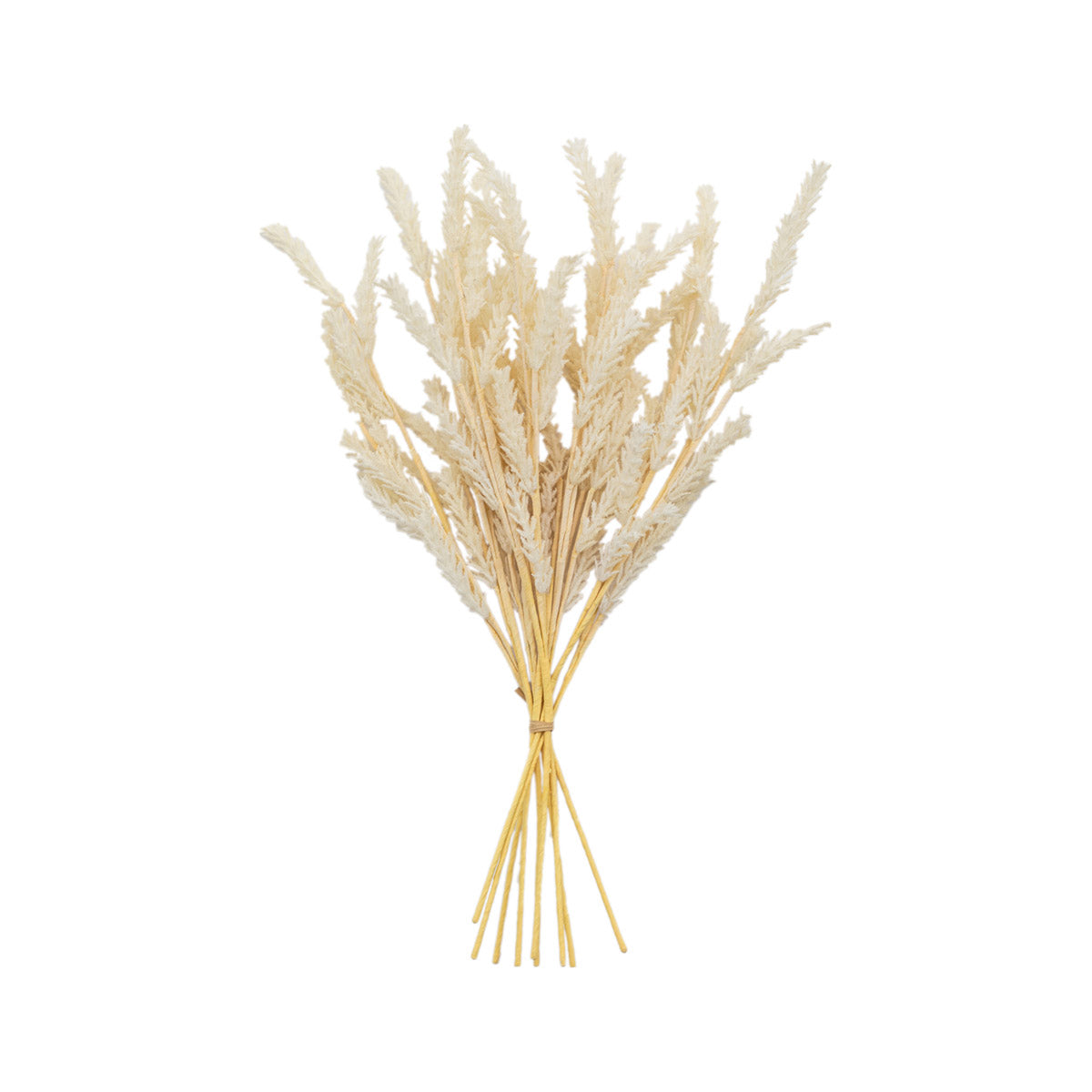 Artificial Dried Cream Pampas Grass Bunch of 9 Stems– Click Style