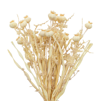 Artificial Dried Cream Poppies Bunch of 9 Stems– Click Style