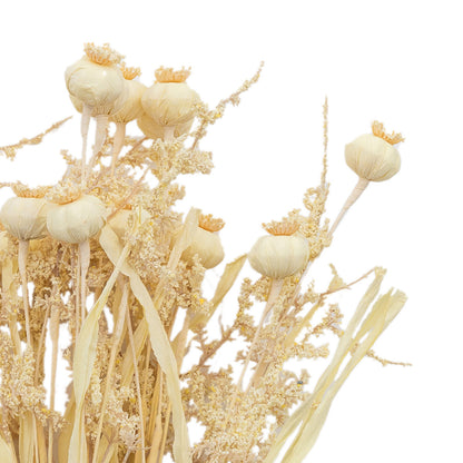 Artificial Dried Cream Poppies Bunch of 9 Stems– Click Style