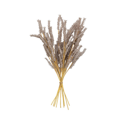 Artificial Dried Moleskin Pampas Grass Bunch of 9 Stems– Click Style