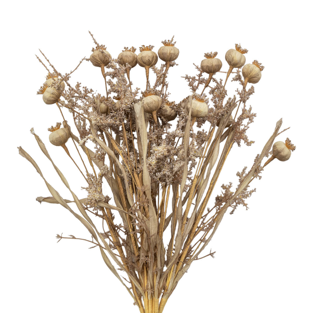 Artificial Dried Moleskin Poppies Bunch of 9 Stems– Click Style