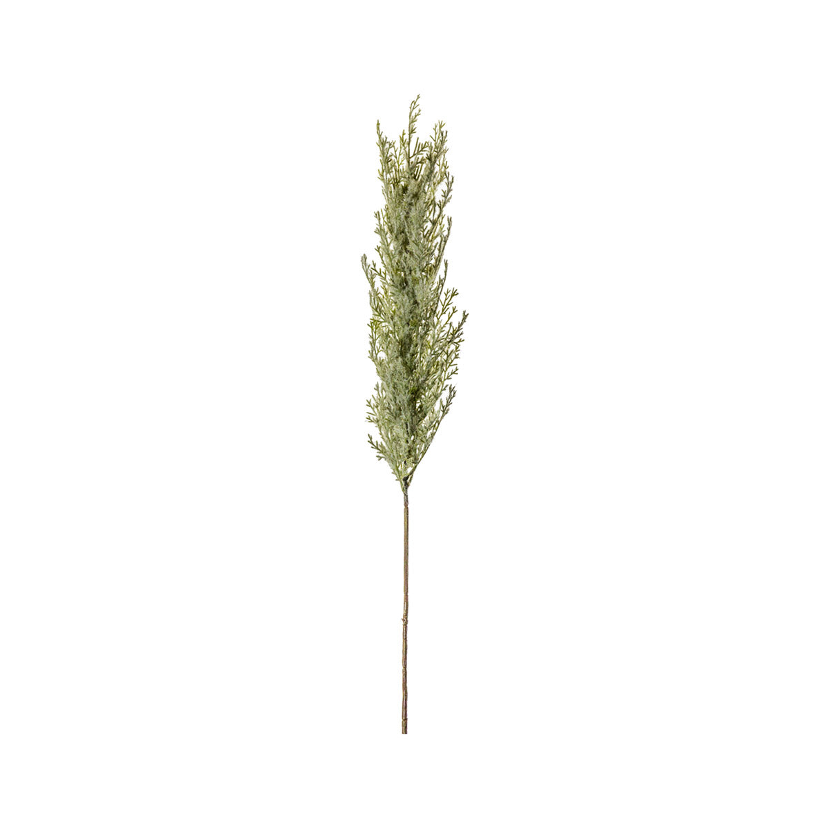 Artificial Dried Tall Natural Pampas Grass Spray– Click Style