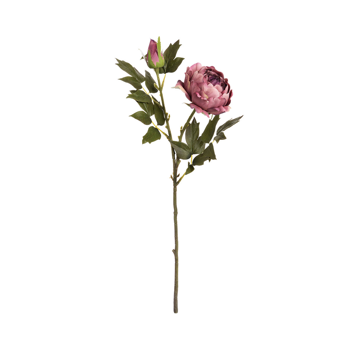 Artificial Dusty Pink Peony Rose Stem - Click Style