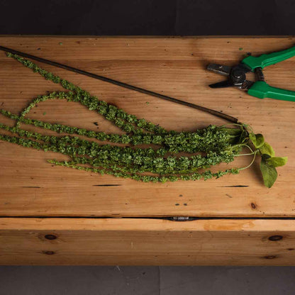 Artificial Green Amaranthus Stem – Click Style