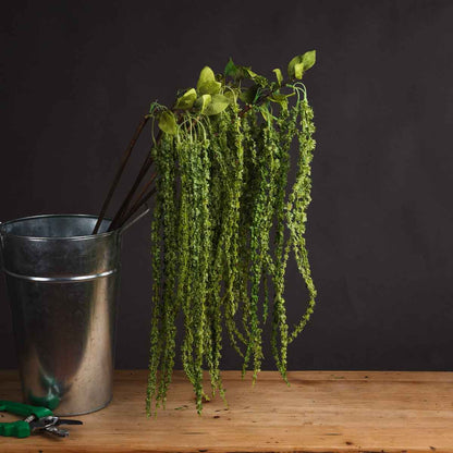 Artificial Green Amaranthus Stem – Click Style