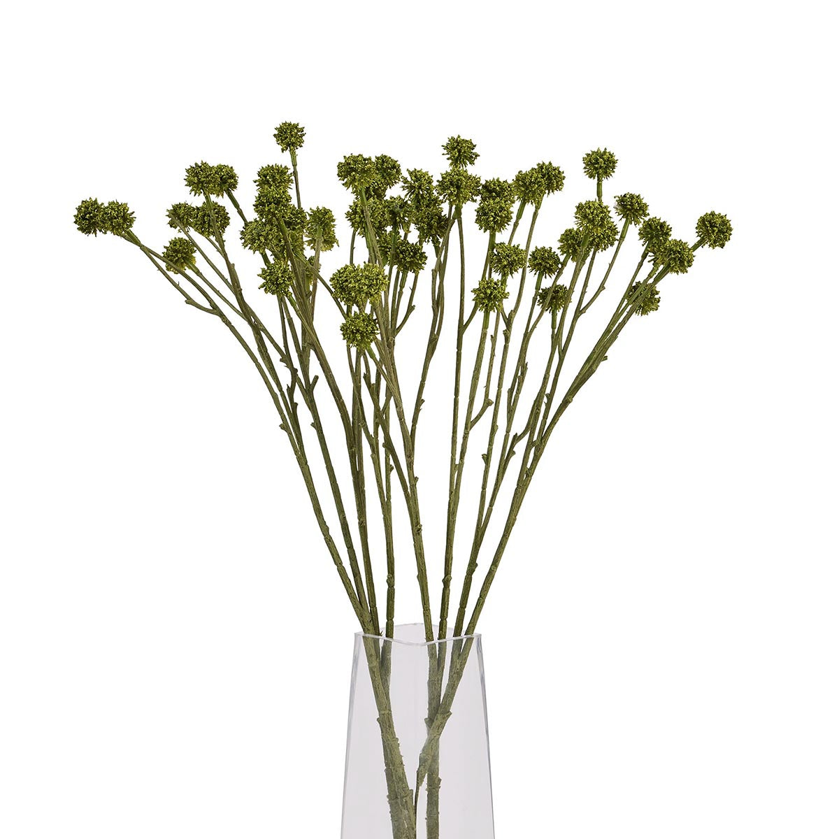 Artificial Green Craspedia Stem – Click Style