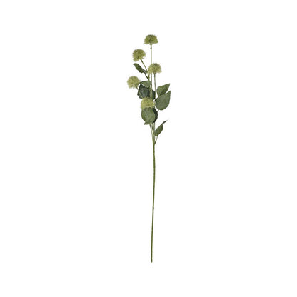 Artificial Green Globe Thistle Stem – Click Style