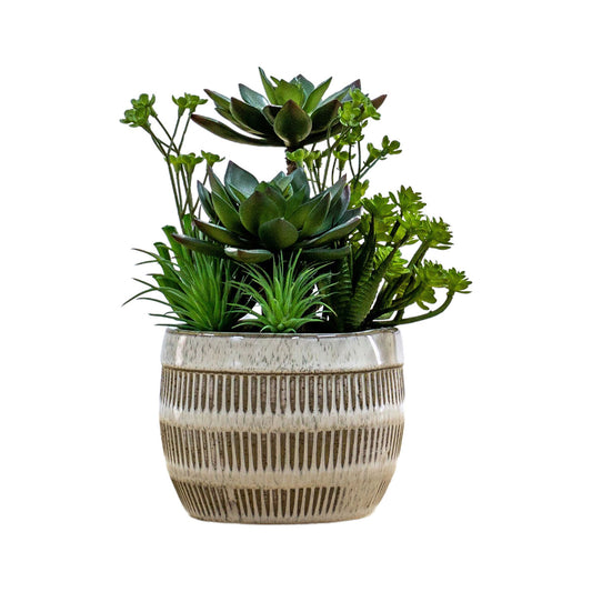 Artificial Green Succulents in Ceramic Pot 24x20cm – Click Style