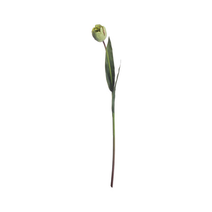 Artificial Green Tulip Stem – Click Style