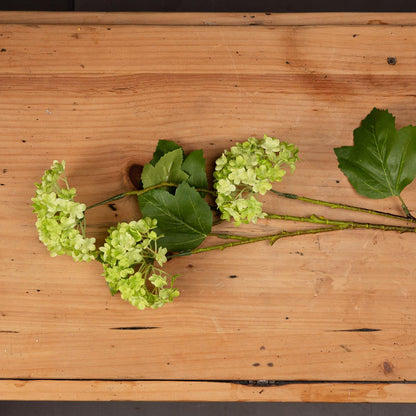 Artificial Green Viburnum Spray – Click Style