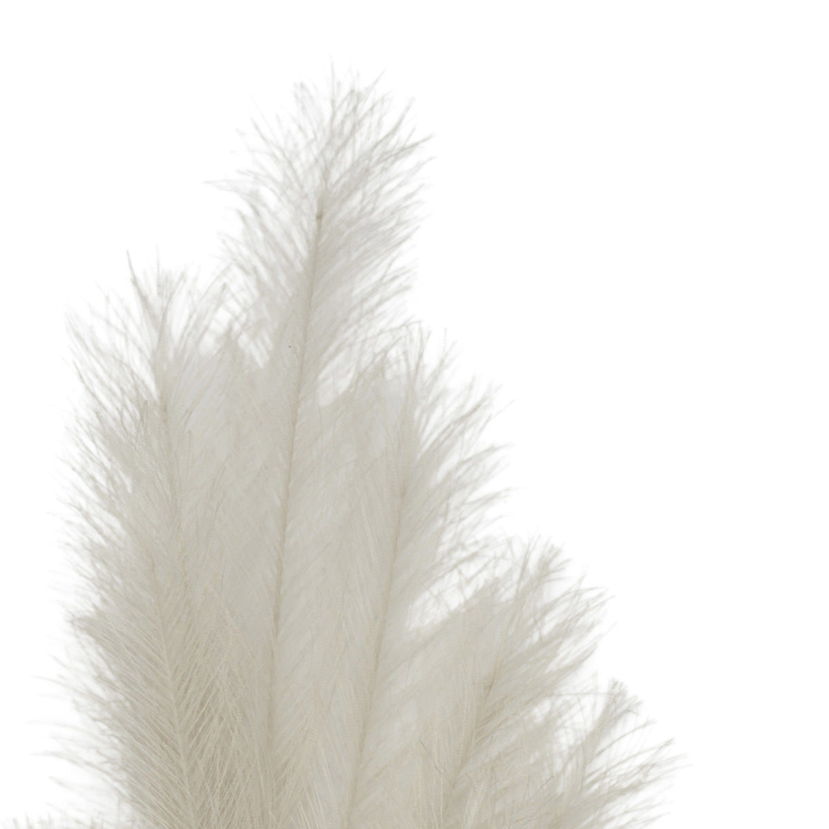 Artificial Light Grey Feather Pampas Grass Bunch of 6 Stems– Click Style