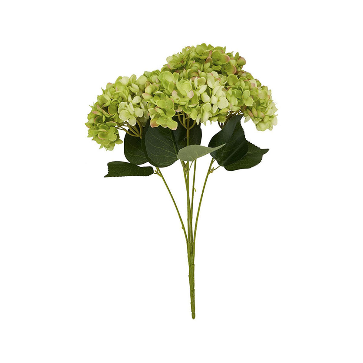 Artificial Lime Green Multi-Bloom Hydrangea Stem – Click Style