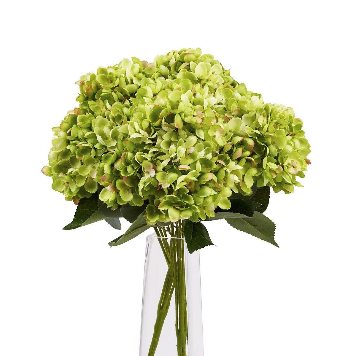 Artificial Lime Green Multi-Bloom Hydrangea Stem – Click Style
