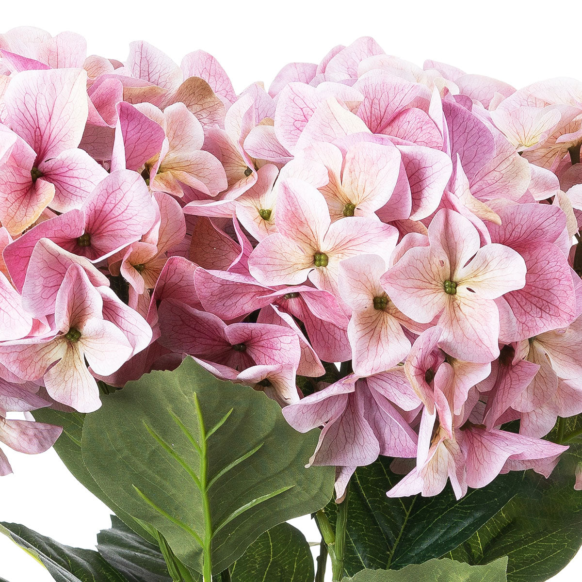 Artificial Multi-Hue Pink Multi-Bloom Hydrangea Stem – Click Style