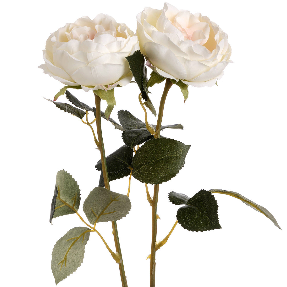Artificial Pale Blush Garden Rose Stem – Click Style