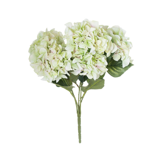 Artificial Pale Green Multi-Bloom Hydrangea Stem – Click Style