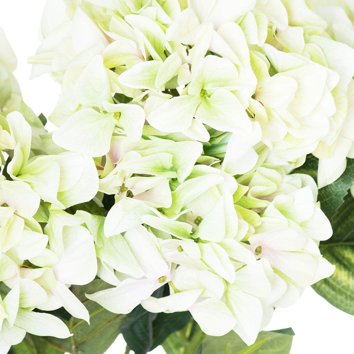 Artificial Pale Green Multi-Bloom Hydrangea Stem – Click Style