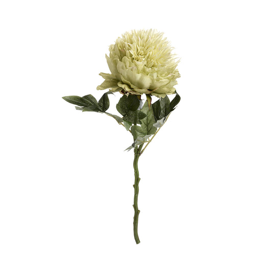 Artificial Pale Green Peony Rose Stem - Click Style