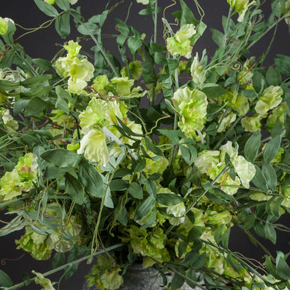 Artificial Pale Green Sweet Pea Stem – Click Style