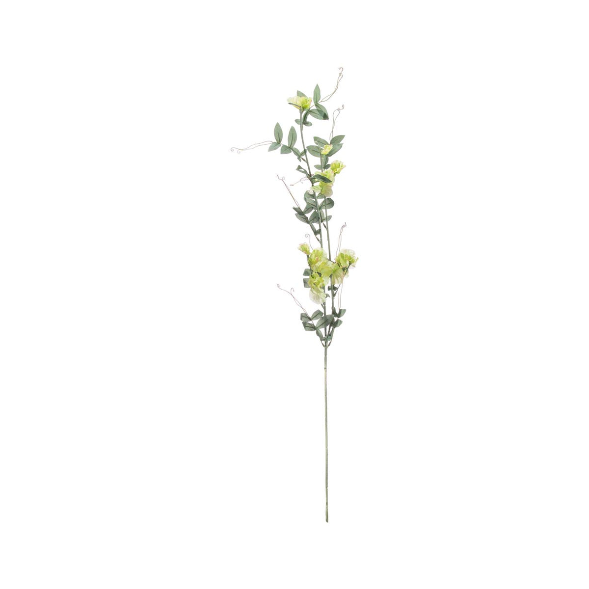 Artificial Pale Green Sweet Pea Stem – Click Style