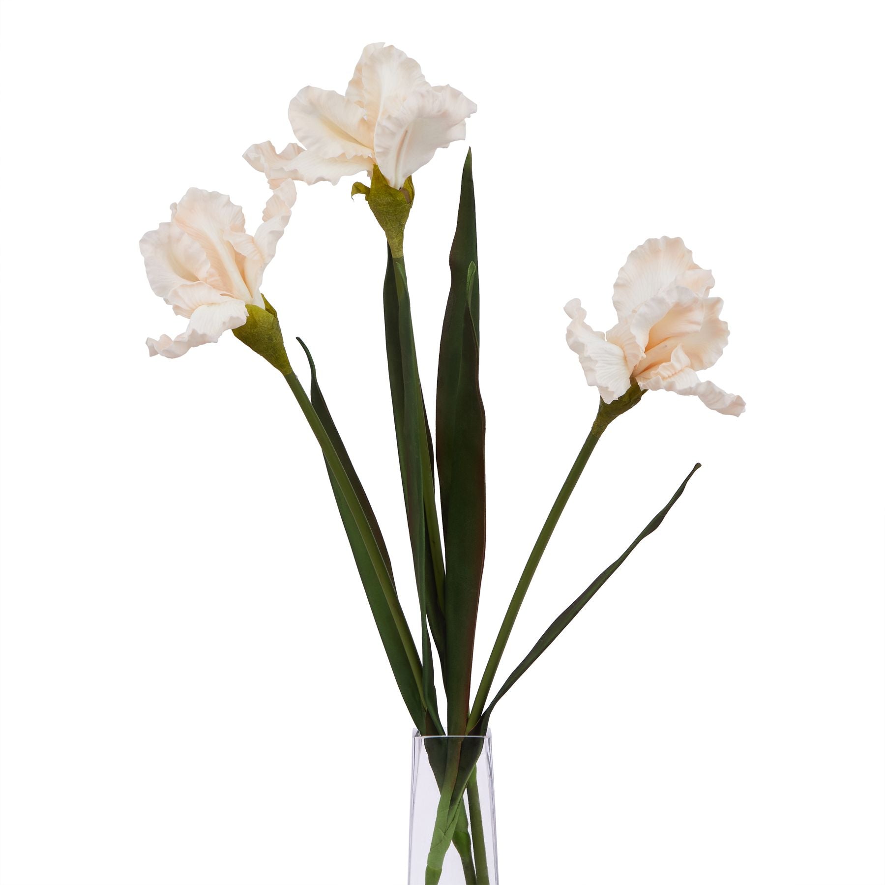 Artificial Pale Peach Fringed Iris Stem – Click Style