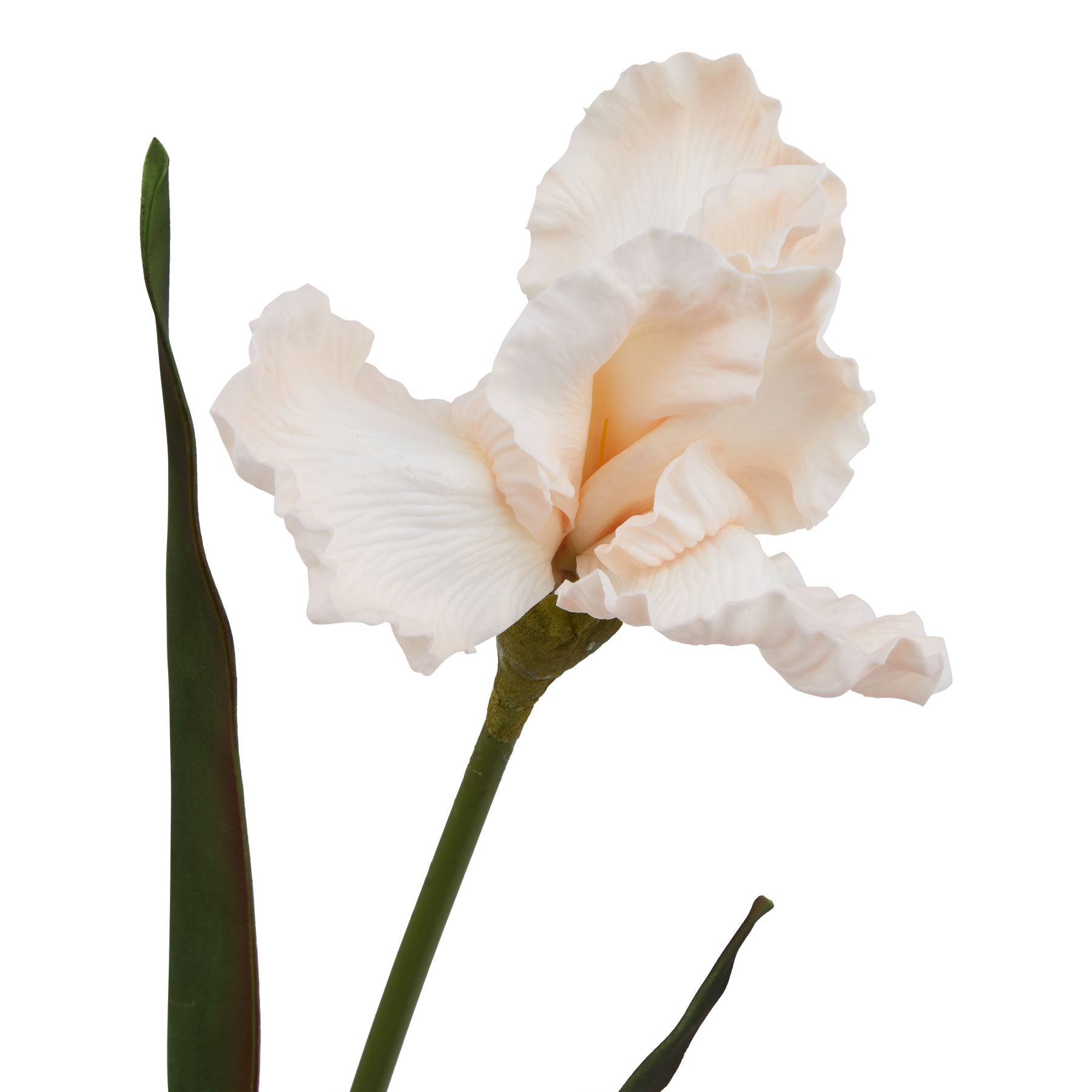 Artificial Pale Peach Fringed Iris Stem – Click Style