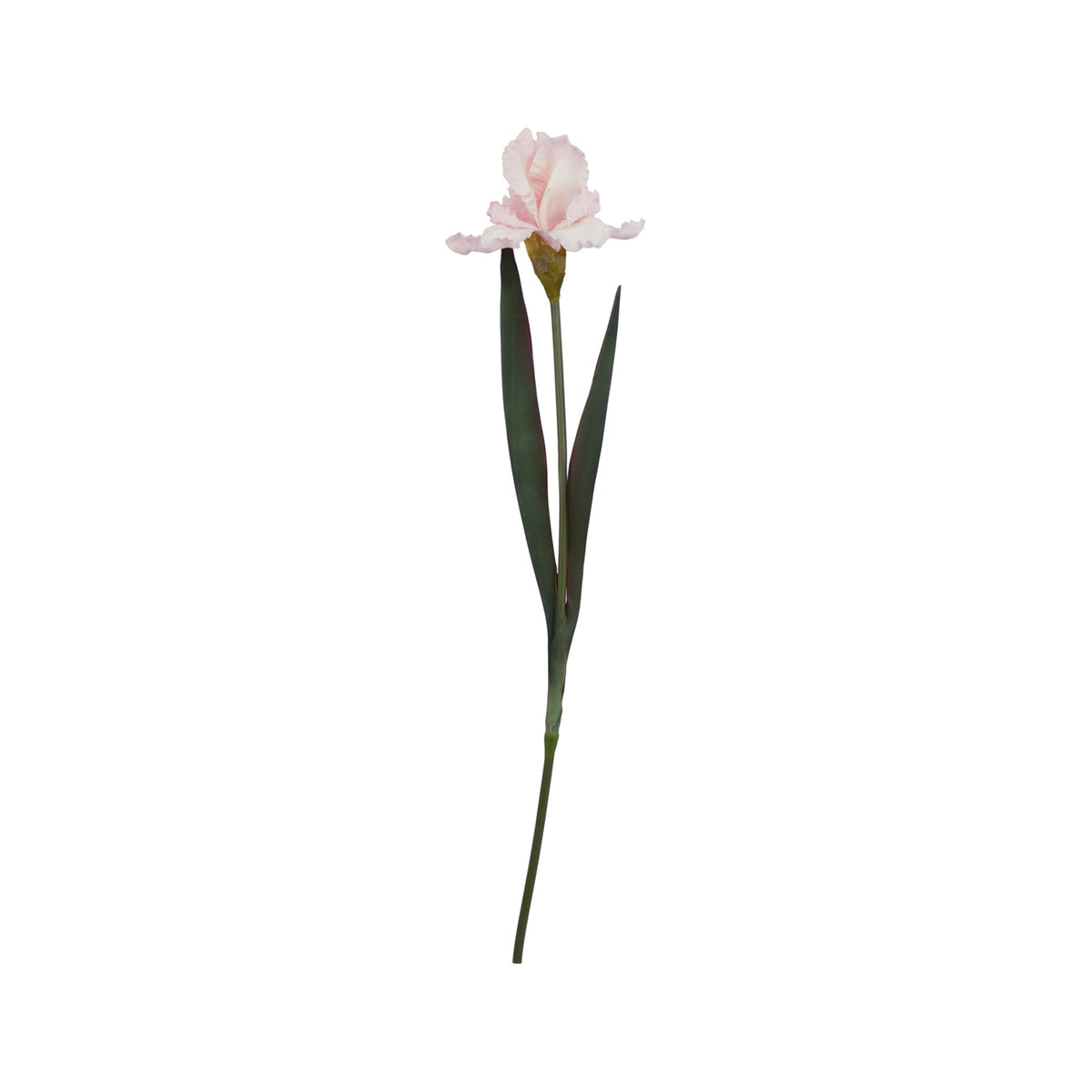 Artificial Pale Pink Fringed Iris Stem – Click Style