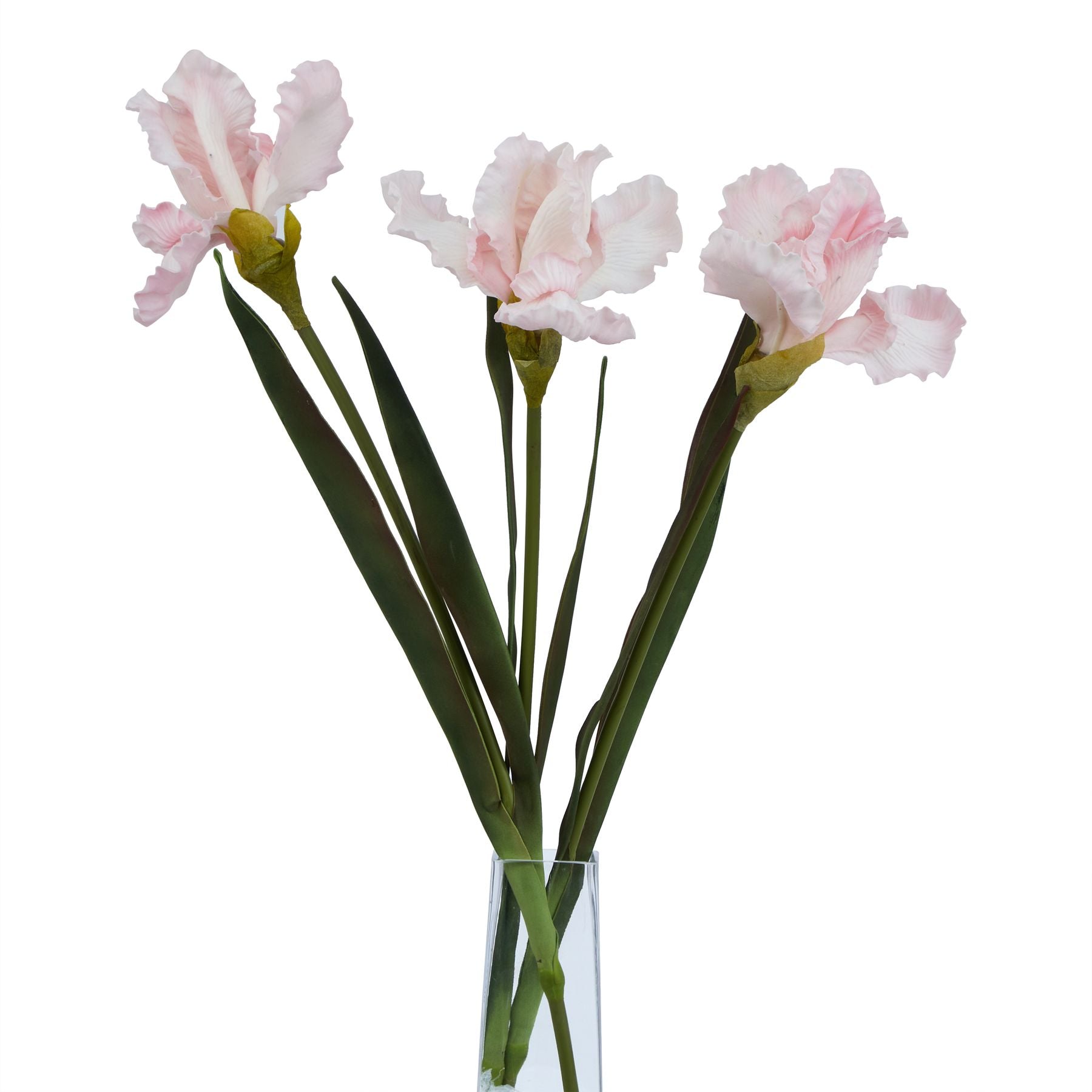 Artificial Pale Pink Fringed Iris Stem – Click Style