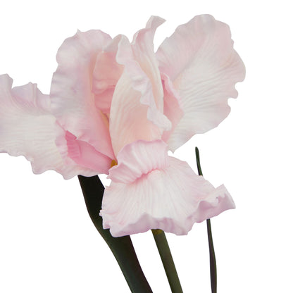 Artificial Pale Pink Fringed Iris Stem – Click Style