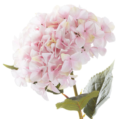 Artificial Pastel Pink Giant-Bloomed Hydrangea Stem – Click Style