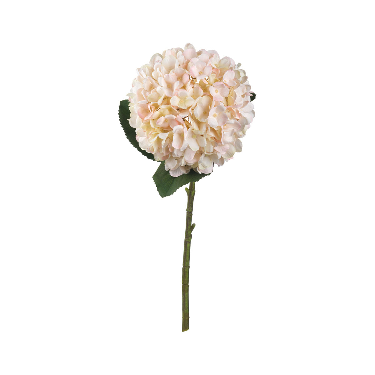 Artificial Peach Blush Hydrangea Stem – Click Style