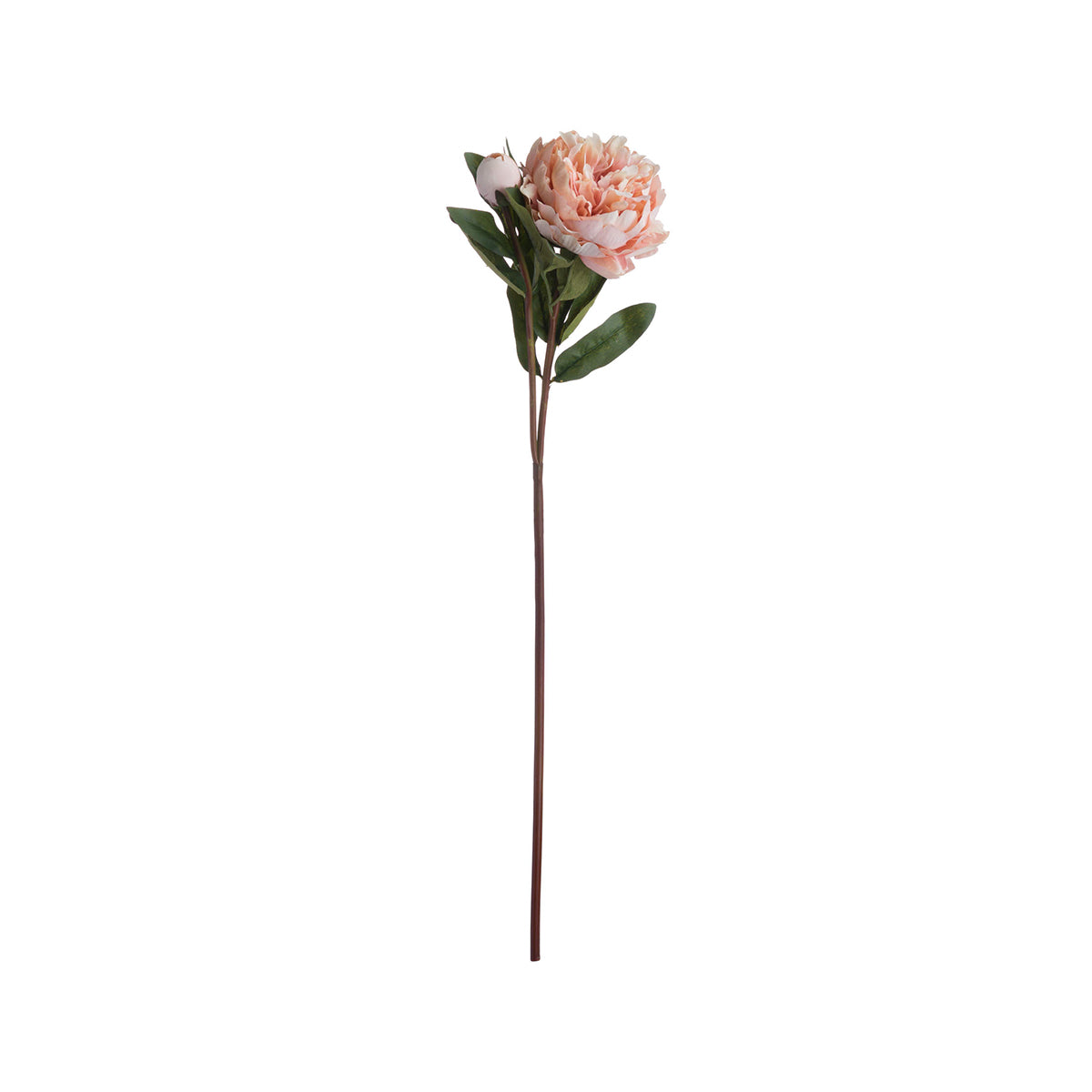 Artificial Peach Peony Rose Stem - Click Style