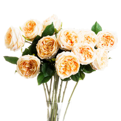 Artificial Peach Portland Rose Stem – Click Style