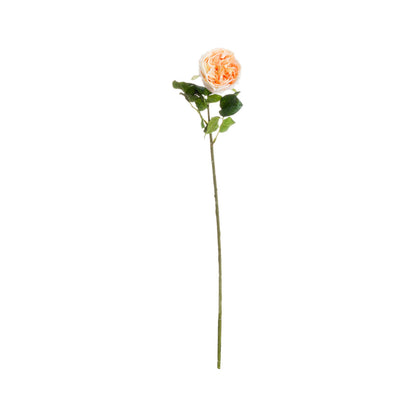 Artificial Peach Portland Rose Stem – Click Style