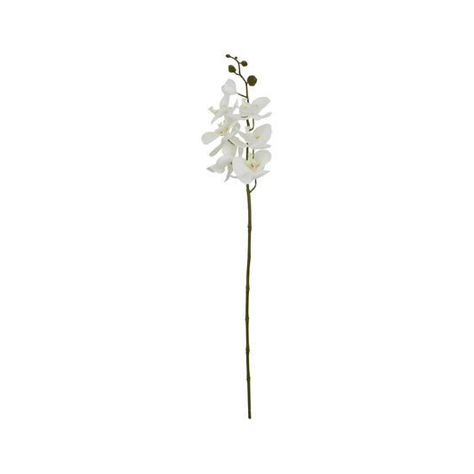 Artificial Phalaenopsis Orchid Stem – Click Style