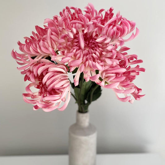 Artificial Pink Spider Chrysanthemum Stem – Click Style