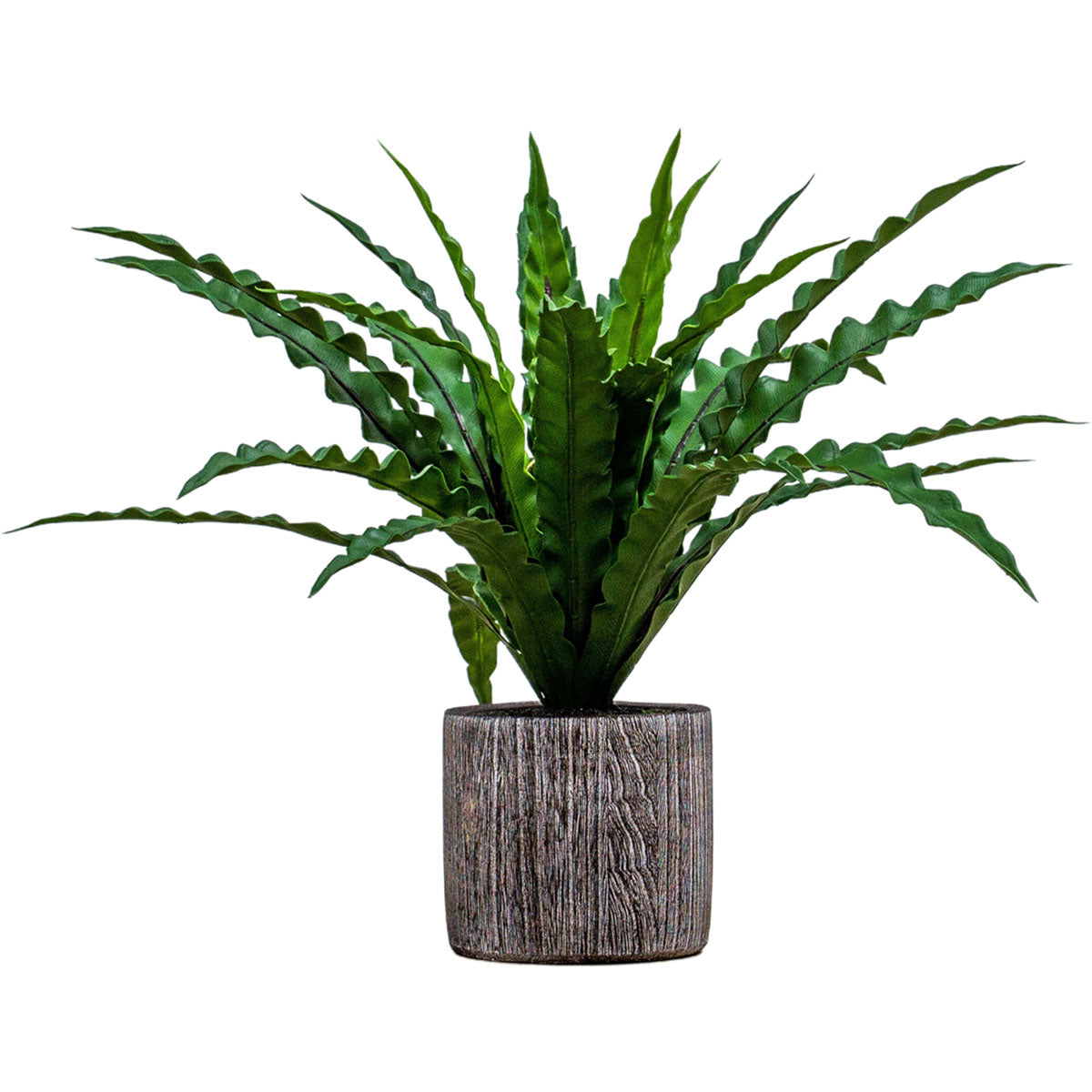 Artificial Potted Asplenium Fern in Ceramic Pot 48x18cm - Click Style