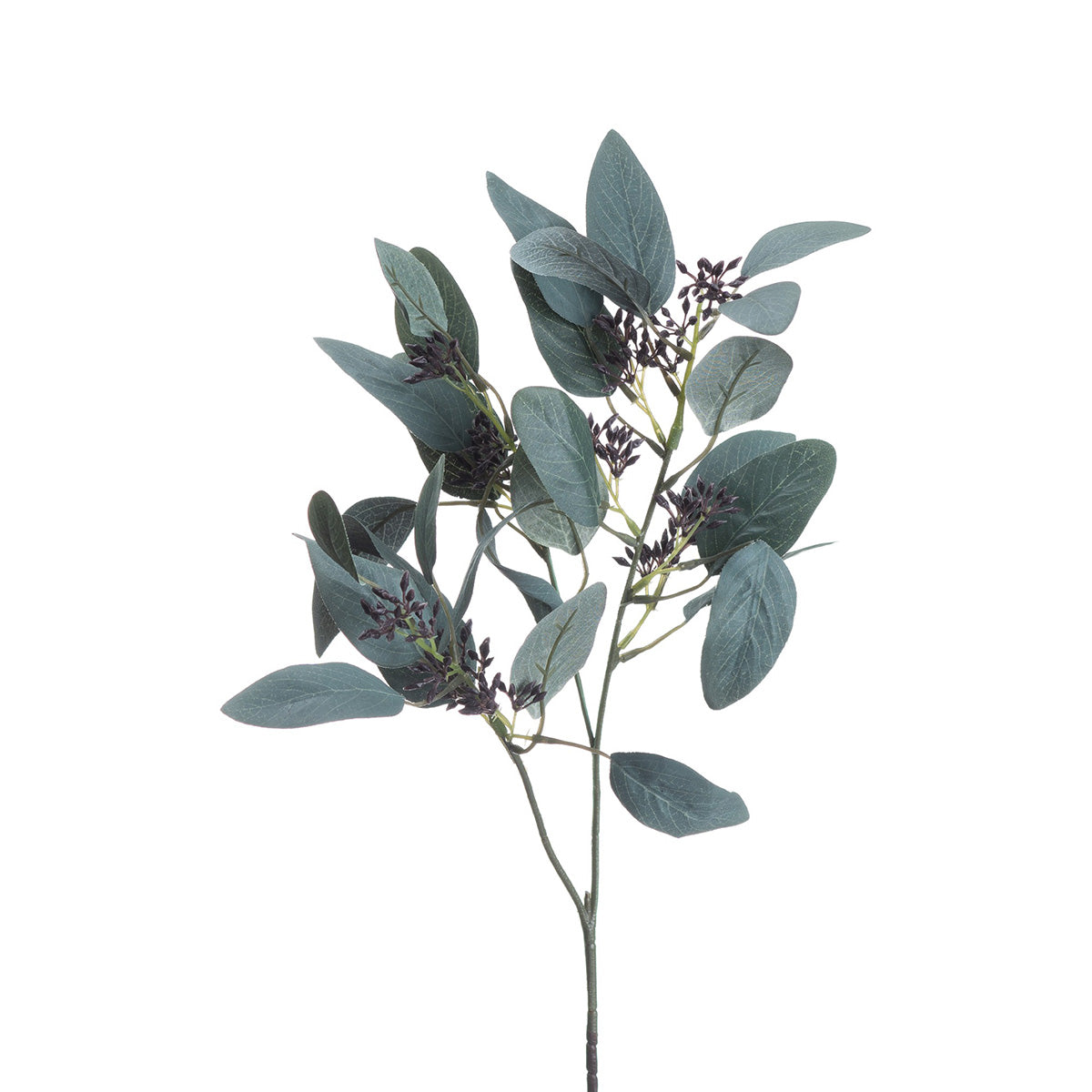 Artificial Seeded Eucalyptus Stem – Click Style