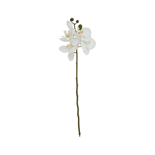 Artificial Short White Phalaenopsis Orchid Stem – Click Style