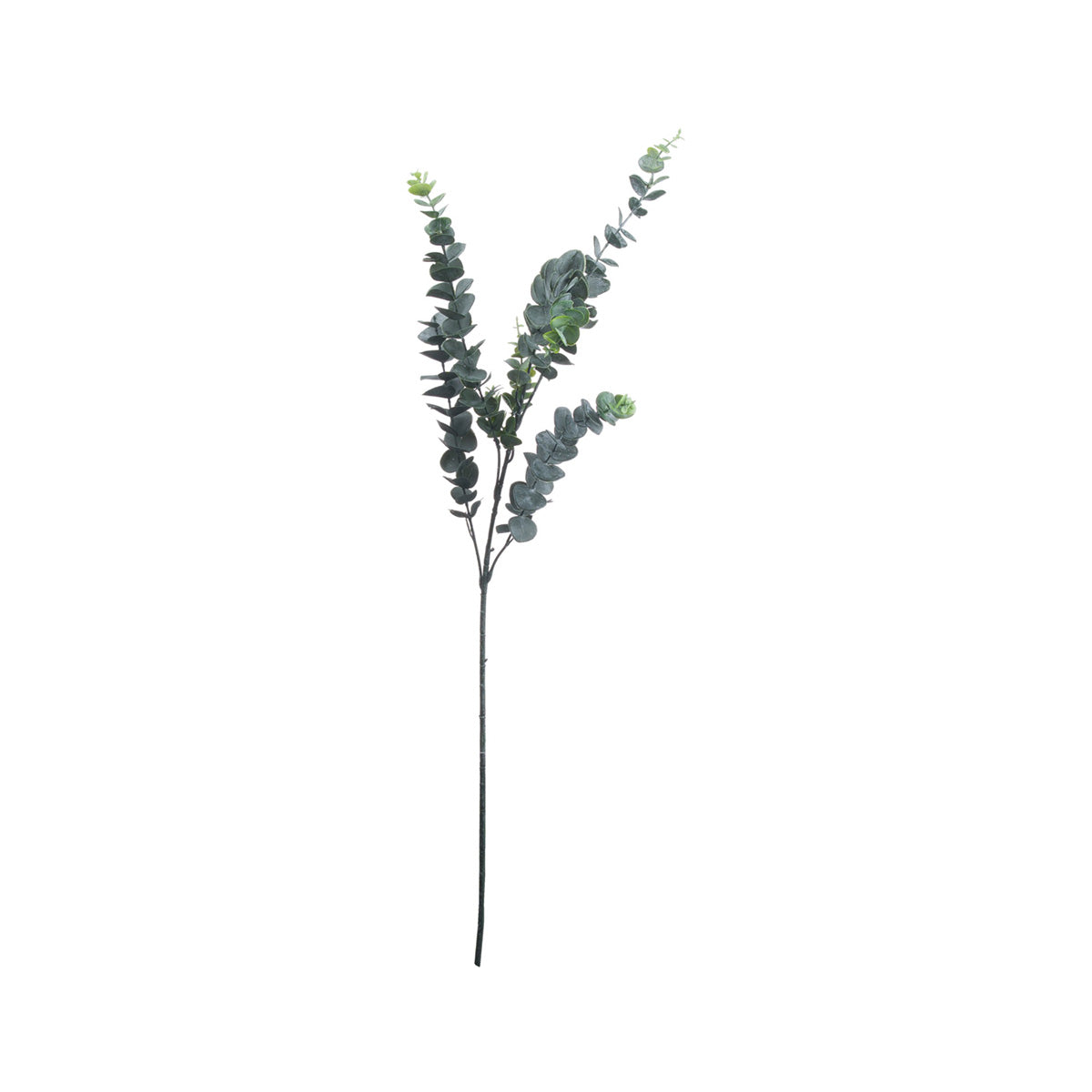 Artificial Tall Silver Dollar Eucalyptus Branch – Click Style