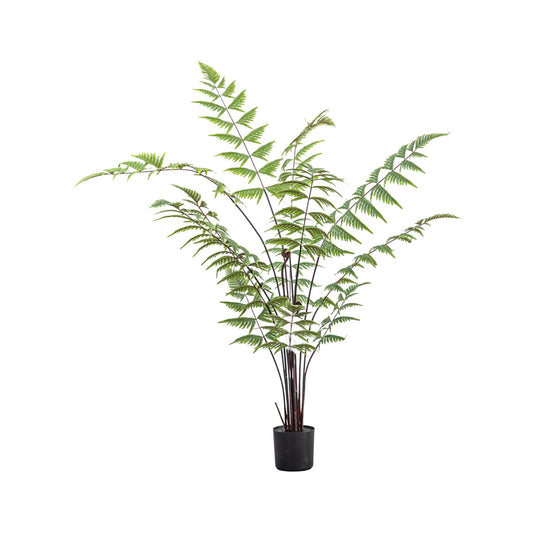 Artificial Small Potted Butterfly Fern 120x76cm – Click Style