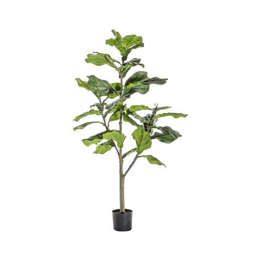 Artificial Small Potted Fiddle Tree 120x58cm – Click Style