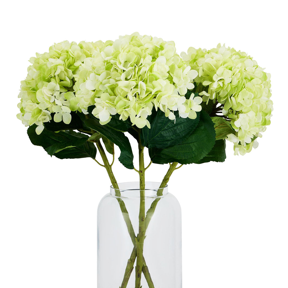 Artificial Soft Green Large-Bloomed Hydrangea Stem – Click Style