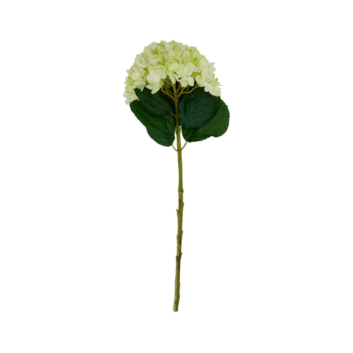 Artificial Soft Green Large-Bloomed Hydrangea Stem – Click Style