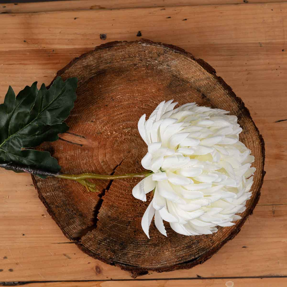 Artificial Soft White Chrysanthemum Stem – Click Style