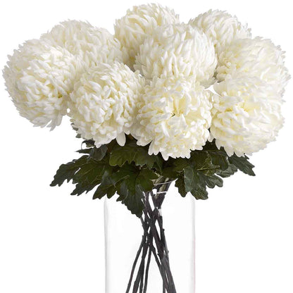 Artificial Soft White Chrysanthemum Stem – Click Style