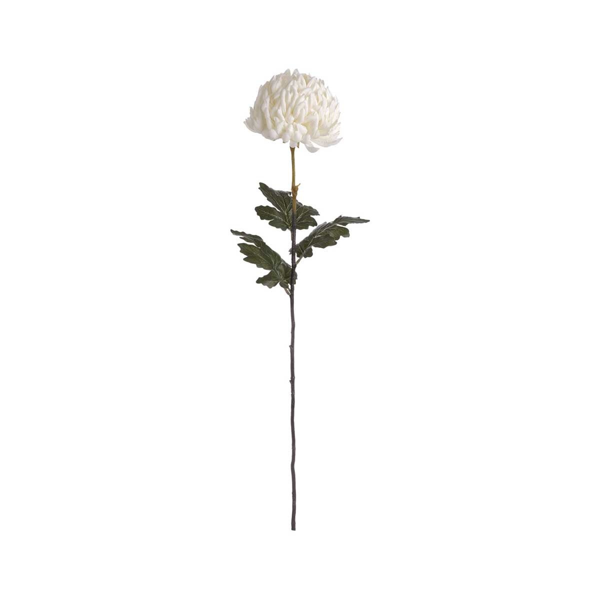 Artificial Soft White Chrysanthemum Stem – Click Style